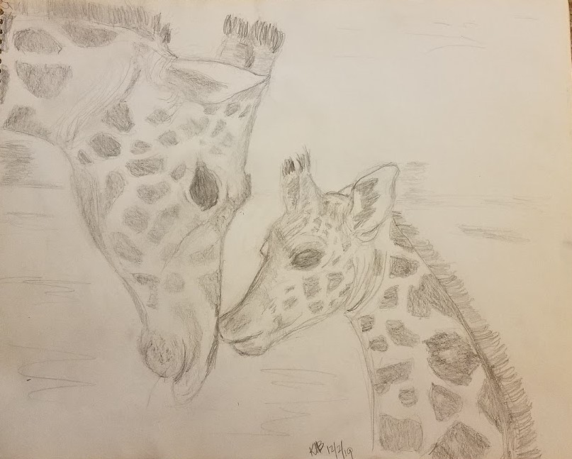 Giraffes 19-12-2 (pencil)